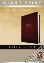 Holy Bible libro str