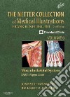 Netter Collection of Medical Illustrations: Musculoskeletal libro str