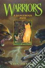 A Dangerous Path