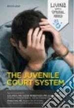 The Juvenile Court System