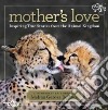 Mother's Love libro str