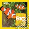 National Geographic Little Kids First Big Book of the Ocean libro str