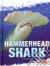 Hammerhead Shark libro str