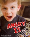 Angry Is... libro str