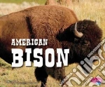 American Bison