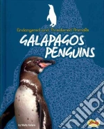 Galapagos Penguins