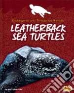 Leatherback Sea Turtles