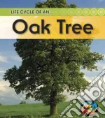 Life Cycle of an Oak Tree
