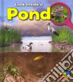 Pond