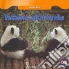 Patterns With Pandas libro str