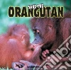 Save the Orangutan libro str