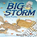The Big Storm