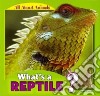 What's a Reptile? libro str