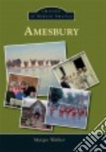 Amesbury libro in lingua di Walker Margie