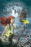 The Adventures of Noah Melville libro str