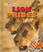Lion Prides
