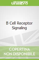 B Cell Receptor Signaling