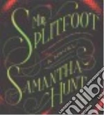 Mr. Splitfoot (CD Audiobook)