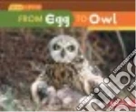 From Egg to Owl