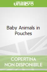 Baby Animals in Pouches