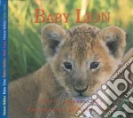 Baby Lion