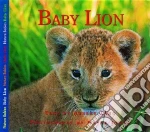 Baby Lion