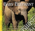 Baby Elephant