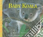 Baby Koala