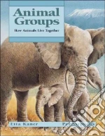 Animal Groups