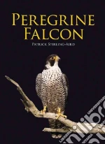 Peregrine Falcon