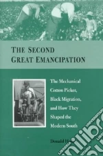 The Second Great Emancipation