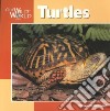 Turtles libro str