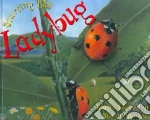 Ladybug libro str