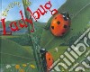 Ladybug libro str