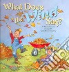 What Does the Wind Say? libro str