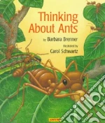 Thinking About Ants
