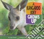 A Kangaroo Joey Grows Up
