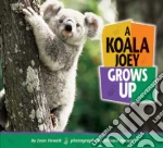A Koala Joey Grows Up