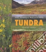 Tundra