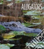 Alligators