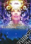 Electronic Awakening libro str
