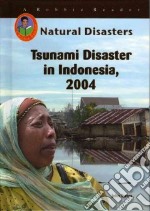 Tsunami Disaster In Indonesia, 2004