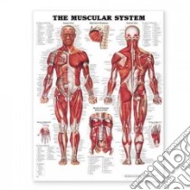 The Muscular System Anatomical Chart libro in lingua di Anatomical Chart Company