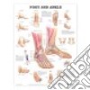 Foot & Ankle Chart libro str