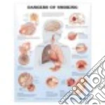 Dangers of Smoking Anatomical Chart