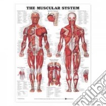 The Muscular System Anatomical Chart libro in lingua di Anatomical Chart Company