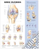 Knee Injuries Anatomical Chart