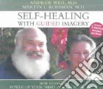 Self-Healing With Guided Imagery (CD Audiobook)