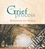 The Grief Process (CD Audiobook)
