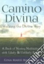Camino Divina - Walking the Divine Way
